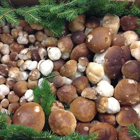 Charmantes Mit Garten Und Traumhaftem Fernblick