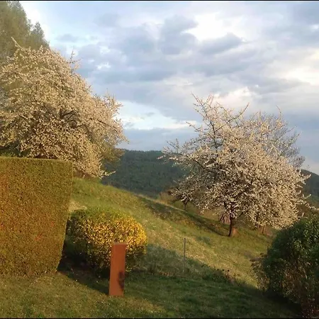 別荘 Charmantes Mit Garten Und Traumhaftem Fernblick *