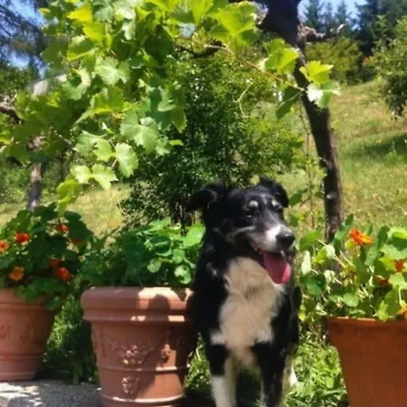 Charmantes Mit Garten Und Traumhaftem Fernblick *