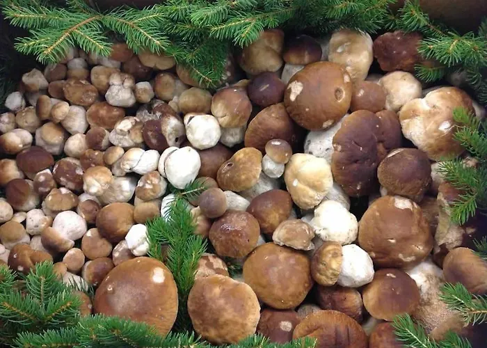 Charmantes Mit Garten Und Traumhaftem Fernblick