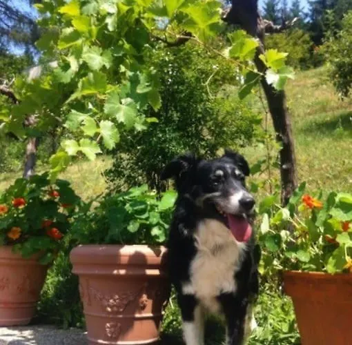 Charmantes Mit Garten Und Traumhaftem Fernblick *